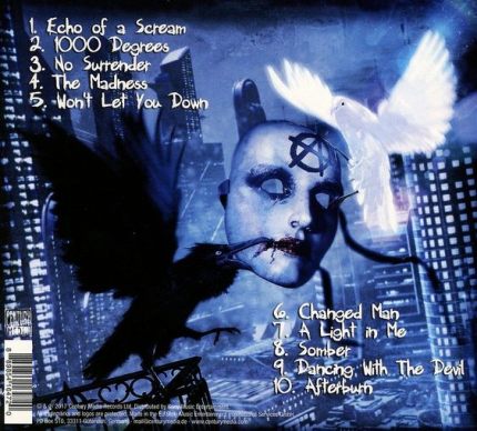 ART OF ANARCHY - The Madness - back