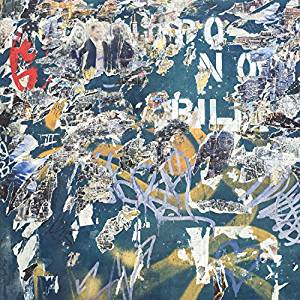 61OAkFDlBoL._SY300_QL70_