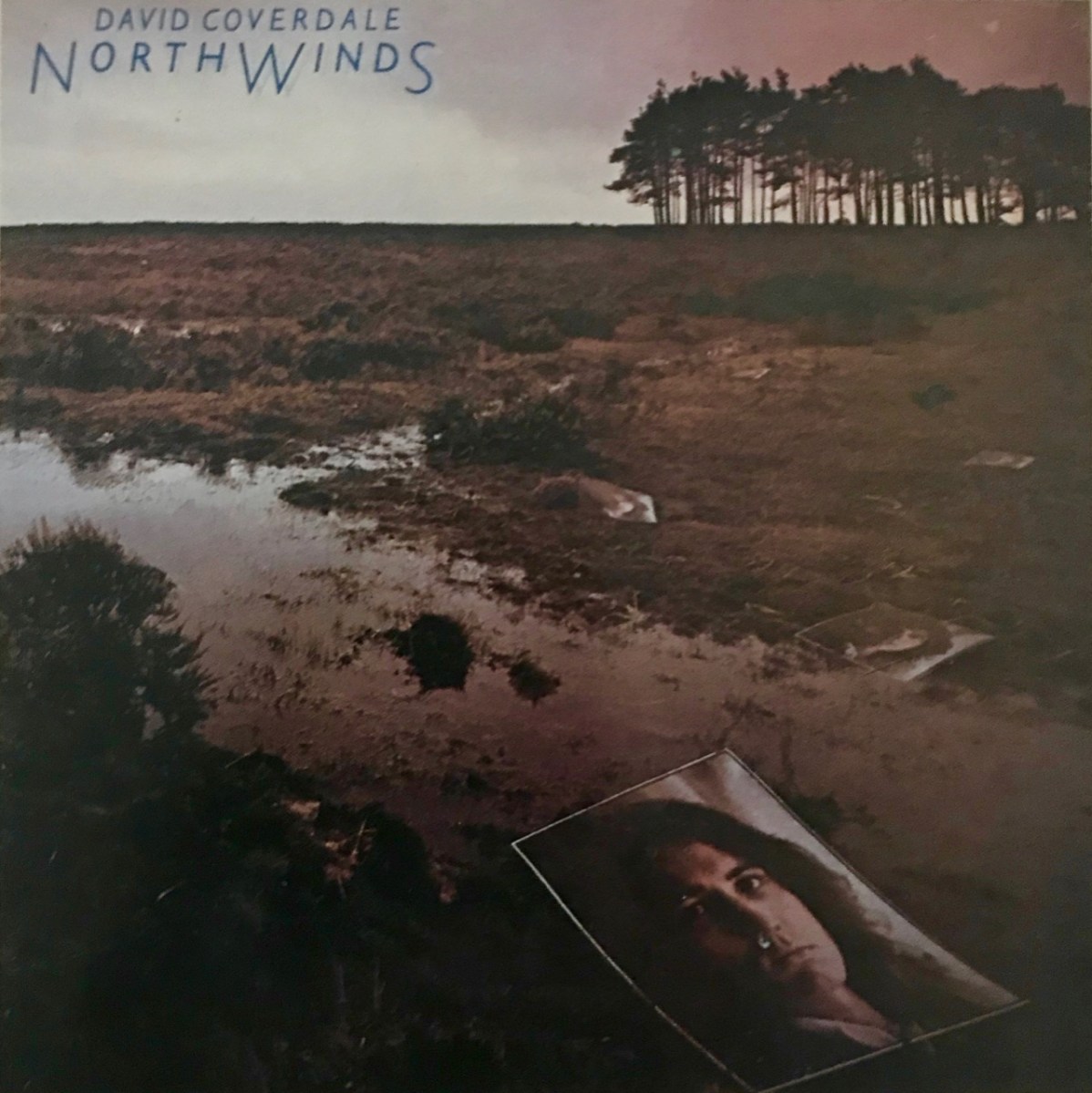 David Coverdale Northwinds Album Review The David Coverdale david-coverdale-northwinds-album-review-the-david-coverdale