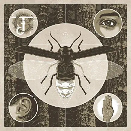 A1DQ6tSpsyS._AC_UY436_FMwebp_QL65_