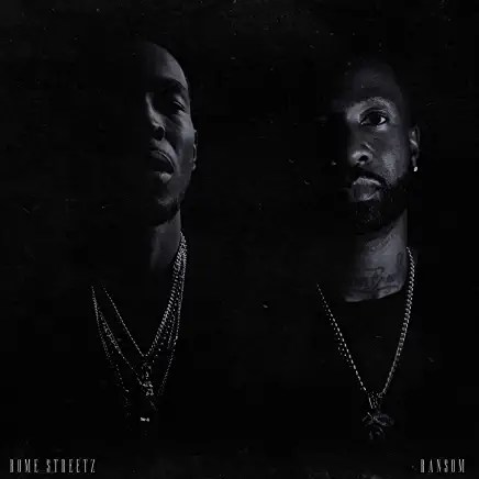 61q6s2q86hL._AC_UY436_FMwebp_QL65_