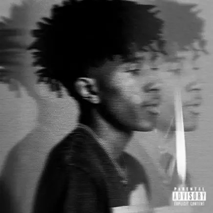 81uOORuDhVL._AC_UY436_FMwebp_QL65_