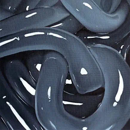 91DP-4EBN9L._AC_UY436_FMwebp_QL65_