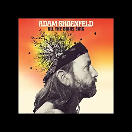 71ij4O-g63L._AC_UY436_FMwebp_QL65_