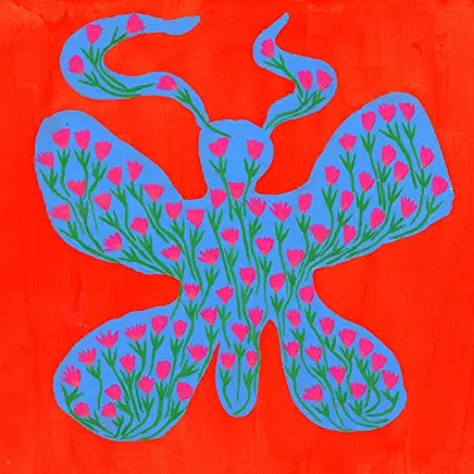 81facVw7doL._AC_UY436_FMwebp_QL65_