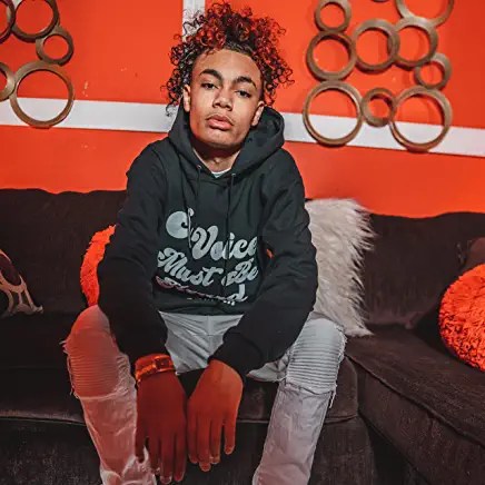 81MeOyl1vlL._AC_UY436_FMwebp_QL65_