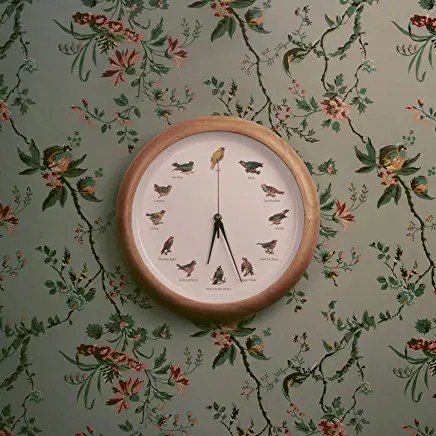 71cp0YdZ0AL._AC_UY436_FMwebp_QL65_