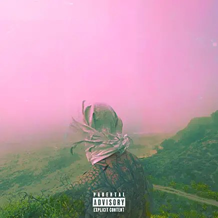 81FOaTv+qXL._AC_UY436_FMwebp_QL65_