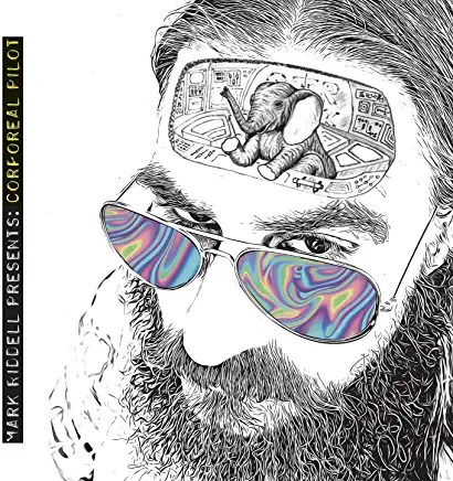 81fgdeE1hHL._AC_UY436_FMwebp_QL65_