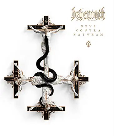 81NAft7MRDL._AC_UY436_FMwebp_QL65_