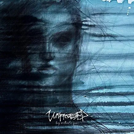 81PLL8PaUWL._AC_UY436_FMwebp_QL65_