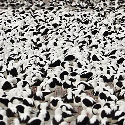 91NBb74pjtL._AC_UY436_FMwebp_QL65_