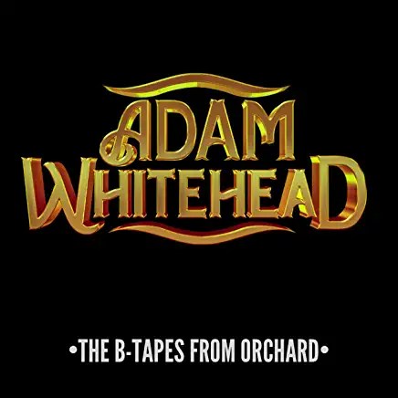 713E0BAmlhL._AC_UY436_FMwebp_QL65_