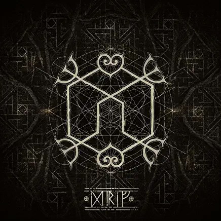 81NcVFkq4gL._AC_UY436_FMwebp_QL65_