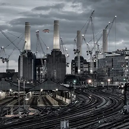 81XnU1zsH+L._AC_UY436_FMwebp_QL65_