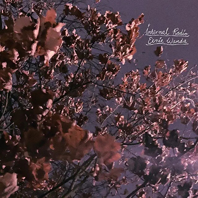 91NDYbgxsOL._AC_UL640_FMwebp_QL65_