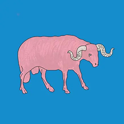 71CR8RC7EqL._AC_UY436_FMwebp_QL65_