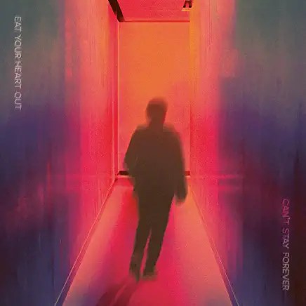 71mF2KAOQ2L._AC_UY436_FMwebp_QL65_