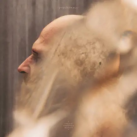 61pw4EY8n5L._AC_UY436_FMwebp_QL65_