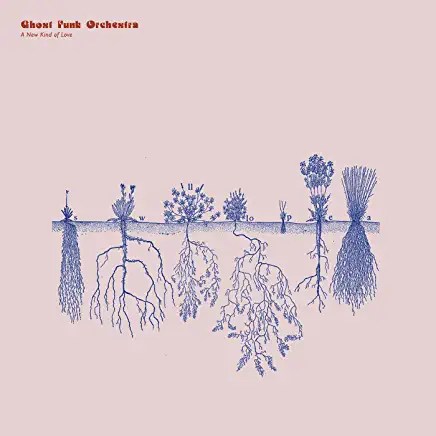 718eQ1LkAHL._AC_UY436_FMwebp_QL65_