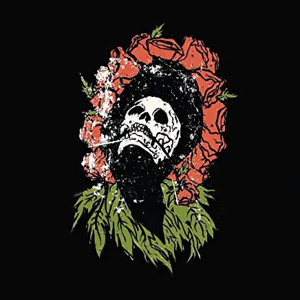 71wpSnkGGRL._AC_UY436_FMwebp_QL65_