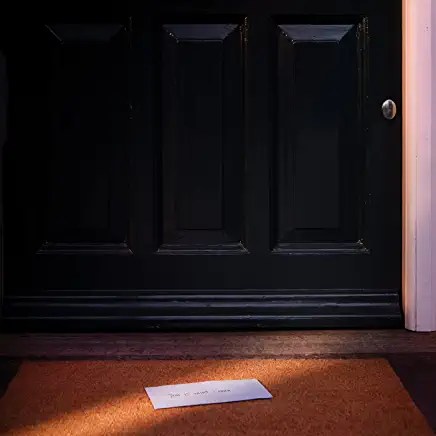 61dZYsenr+L._AC_UY436_FMwebp_QL65_