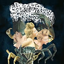 718gaUCm2lL._AC_UY218_