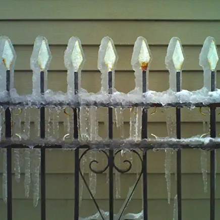 81lCGdGMe6L._AC_UY436_FMwebp_QL65_