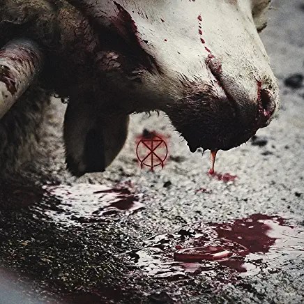 81oUvTt6GUL._AC_UY436_FMwebp_QL65_