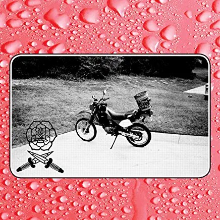 91sdxTgGyYL._AC_UY436_FMwebp_QL65_