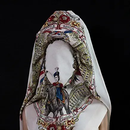 91vvykvNYOL._AC_UY436_FMwebp_QL65_