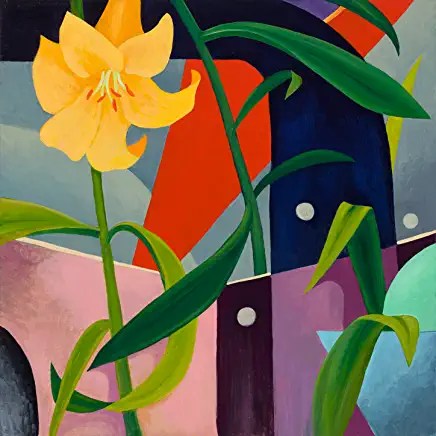 71FczFgg3sL._AC_UY436_FMwebp_QL65_