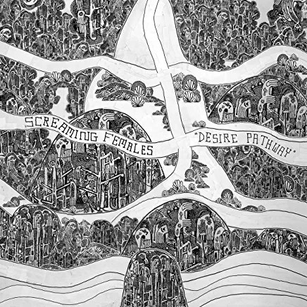 81YHf-S4dzL._AC_UY436_FMwebp_QL65_