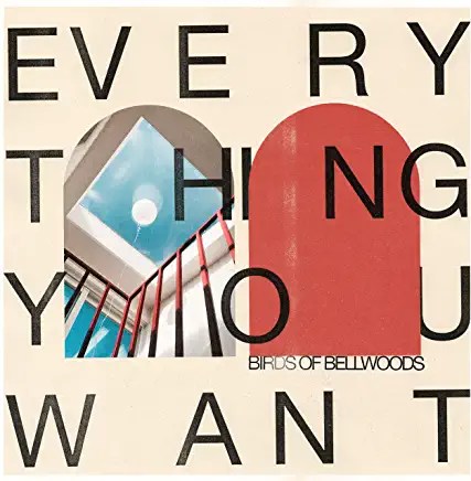 91Dzs77jZVL._AC_UY436_FMwebp_QL65_