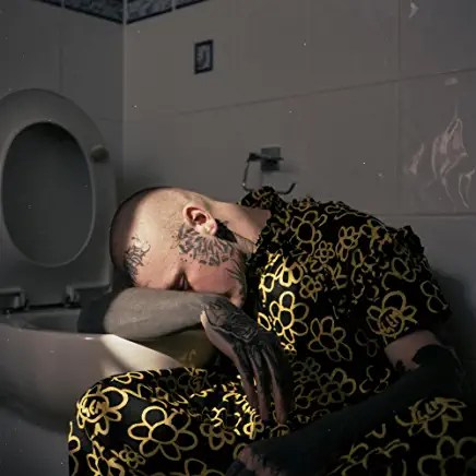 71e6JseQLHL._AC_UY436_FMwebp_QL65_