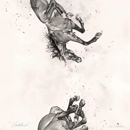 71T6l76wJIL._AC_UY436_FMwebp_QL65_