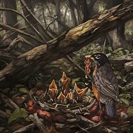 81DmY8-DwpL._AC_UY436_FMwebp_QL65_