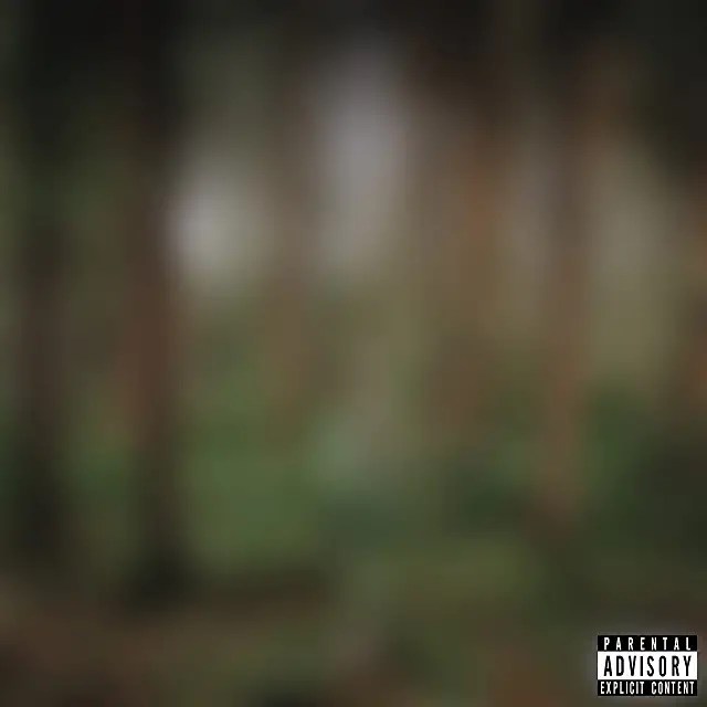 51Bav3-Wk-L._AC_UL640_FMwebp_QL65_