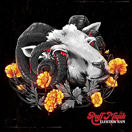 81A-CB38qVL._AC_UY436_FMwebp_QL65_