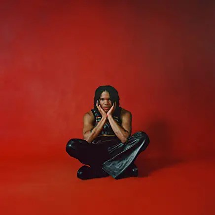 61egMAg9toL._AC_UY436_FMwebp_QL65_