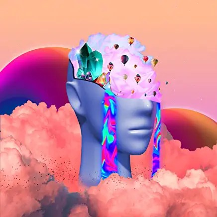 61gceNYYcNL._AC_UY436_FMwebp_QL65_