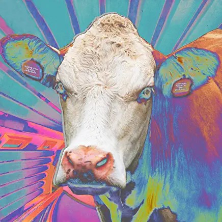 910E8h-RvSL._AC_UY436_FMwebp_QL65_