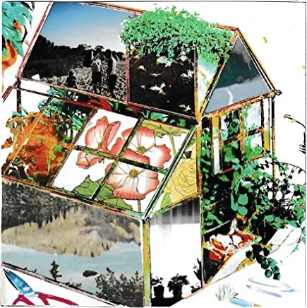 91M6q-UE8mL._AC_UY436_FMwebp_QL65_