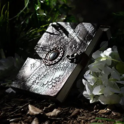 91wgy5XWahL._AC_UY436_FMwebp_QL65_