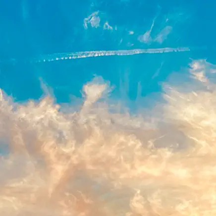 71SCHLIkIEL._AC_UY436_FMwebp_QL65_