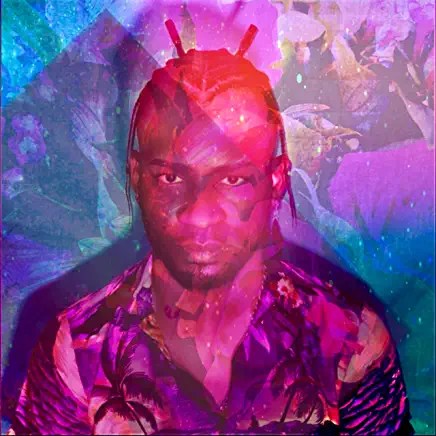 81Sk4R-kcvL._AC_UY436_FMwebp_QL65_