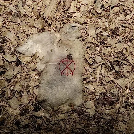 81CQoWMiwcL._AC_UY436_FMwebp_QL65_