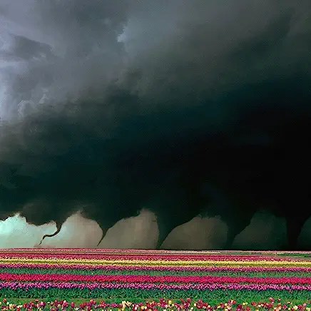 81G7+yfMw9L._AC_UY436_FMwebp_QL65_