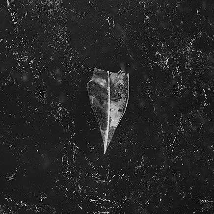 81Nl+DmBg1L._AC_UY436_FMwebp_QL65_