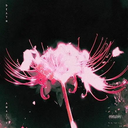 91JOubhuYML._AC_UY436_FMwebp_QL65_